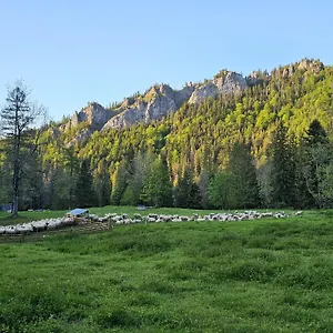 Gosciniec Kuznice , Zakopane Poland